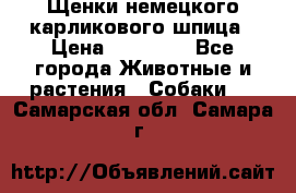 Щенки немецкого карликового шпица › Цена ­ 20 000 - Все города Животные и растения » Собаки   . Самарская обл.,Самара г.